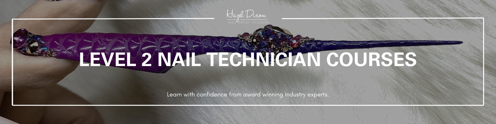 Level 2 Nail Tech Classes