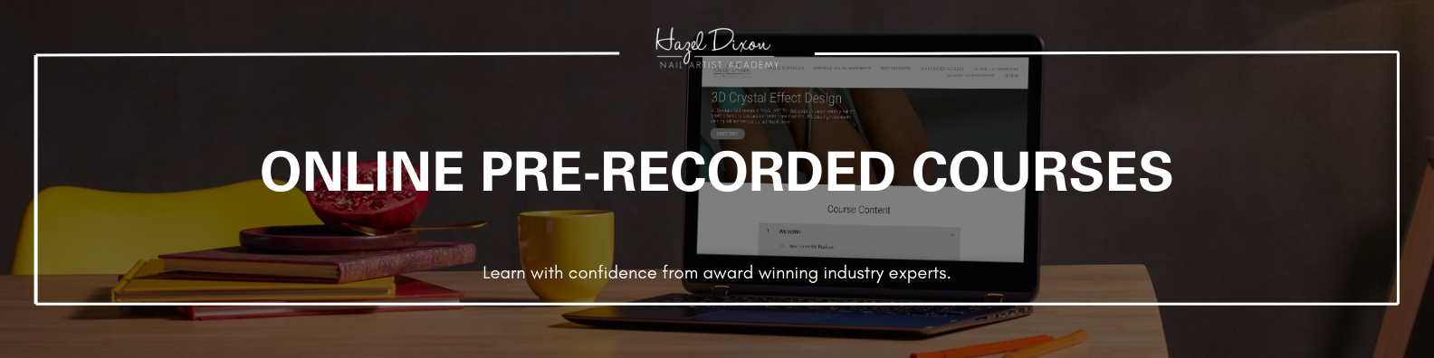 Pre-recorded Online Classes/workshops